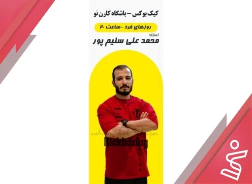کیک بوکس حرفه ای آقایان تک جلسه | (آقای محمد علی سلیم پور)-باشگاه کارن نو